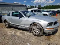 2007 Ford MUSTANG фото
