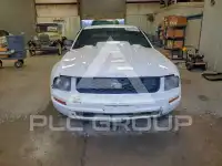 2007 Ford MUSTANG photo