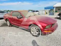 2007 Ford MUSTANG photo