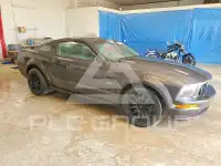 2007 Ford MUSTANG фото