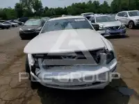 2007 Ford MUSTANG photo