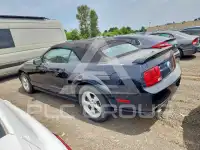 2007 Ford MUSTANG фото