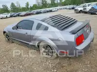 2007 Ford MUSTANG фото