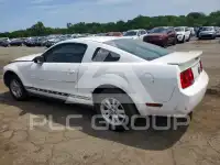 2007 Ford MUSTANG photo