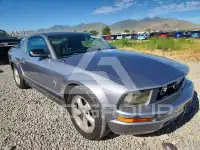 2007 Ford MUSTANG фото