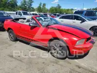2007 Ford MUSTANG фото