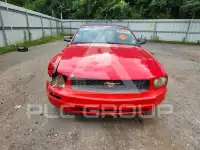 2007 Ford MUSTANG фото