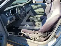 2007 Ford MUSTANG photo