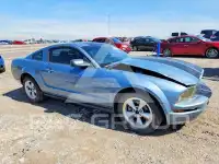 2007 Ford MUSTANG фото
