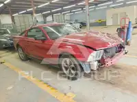 2007 Ford MUSTANG фото