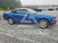 2007 Ford MUSTANG photo