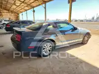 2007 Ford MUSTANG photo