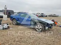 2007 Ford MUSTANG photo