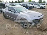 2007 Ford MUSTANG фото