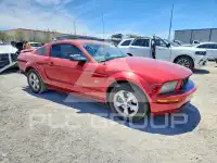 2007 Ford MUSTANG фото
