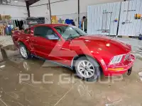 2007 Ford MUSTANG photo