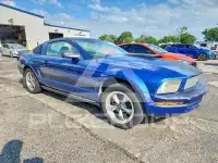 2007 Ford MUSTANG фото