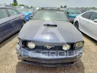 2007 Ford MUSTANG фото