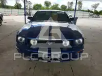 2007 Ford MUSTANG фото
