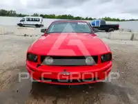 2007 Ford MUSTANG photo
