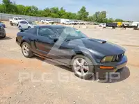 2007 Ford MUSTANG фото