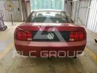 2007 Ford MUSTANG фото