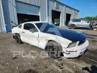 2007 Ford MUSTANG фото
