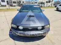 2007 Ford MUSTANG фото