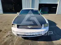 2007 Ford MUSTANG фото