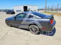 2007 Ford MUSTANG фото