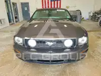 2007 Ford MUSTANG фото