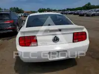 2007 Ford MUSTANG photo