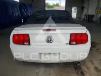 2007 Ford MUSTANG photo