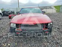 2007 Ford MUSTANG фото