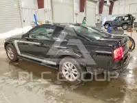 2007 Ford MUSTANG photo