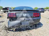 2007 Ford MUSTANG photo