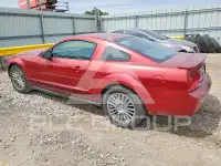2007 Ford MUSTANG фото