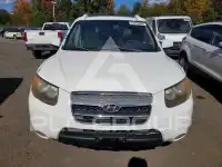 2007 Hyundai Santa Fe photo
