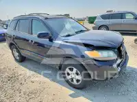 2007 Hyundai Santa Fe фото