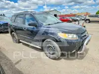 2007 Hyundai Santa Fe photo