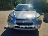 2007 Hyundai Santa Fe фото