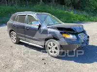 2007 Hyundai Santa Fe фото