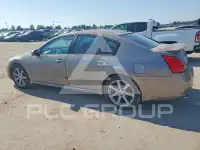 2008 Nissan MAXIMA фото