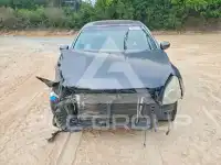 2008 Nissan MAXIMA photo