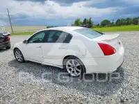 2008 Nissan MAXIMA фото
