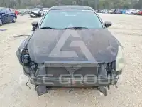 2008 Nissan MAXIMA фото