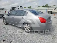 2008 Nissan MAXIMA фото