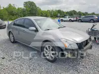 2008 Nissan MAXIMA фото