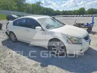 2008 Nissan MAXIMA фото
