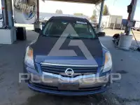2008 Nissan ALTIMA фото
